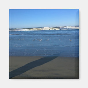 Long Beach, Washington Magnet