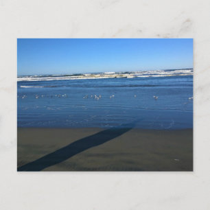 Long Beach, Washington Postkarte