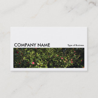 Long Bild 0175 - Camellia Bush Visitenkarte