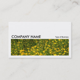 Long Bild 0213 - Bett aus gelben Milchsorten Visitenkarte