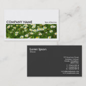 Long Bild 0235 - Daisy Meadow Visitenkarte (Vorne/Hinten)