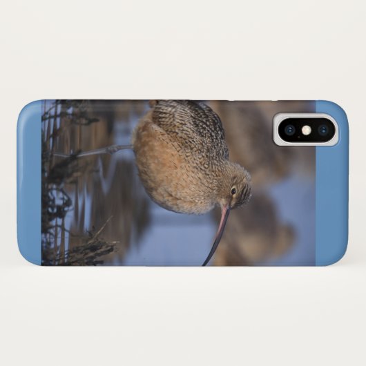 Long Billed Curlew Case-Mate iPhone Hülle (Rückseite (Horizontal))