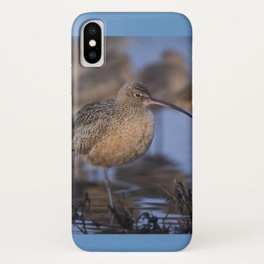 Long Billed Curlew Case-Mate iPhone Hülle (Rückseite)