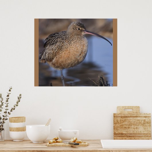 Long Billed Curlew Poster (Küche)