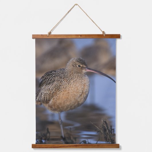 Long Billed Curlew Wandteppich Mit Holzrahmen (Vorderseite)
