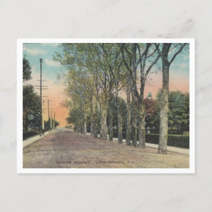Long Branch NJ Cedar Ave 1911 im Vintage-Stil Postkarte