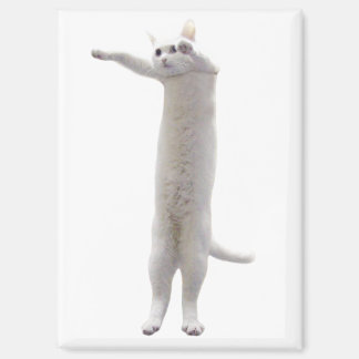 Long Cat Meme Magnet