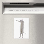 Long Cat Meme Magnet (In Situ (Geschirrspüler))