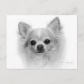 Long Coat Chihuahua - Kunst von Hand Postkarte (Vorderseite)