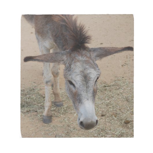 Long Eared Donkey Notizblock (Vorderseite)