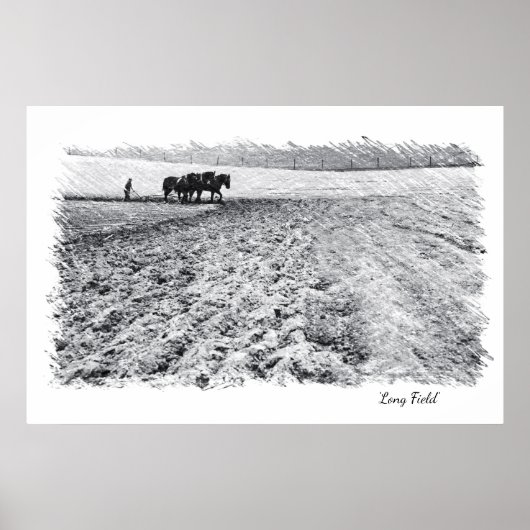 Long Field wall Art Poster (Vorne)