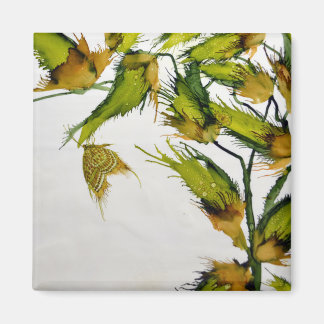 Long Green Pods und Butterfly Magnet