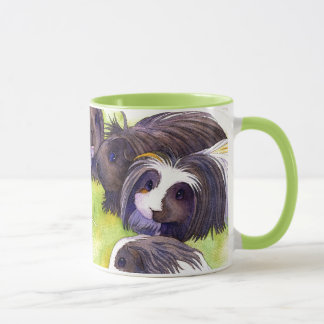 Long Hair Cavies Tasse