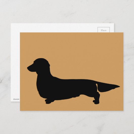 Long Hair Dackel Postkarte (Vorne/Hinten)