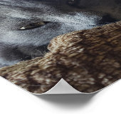 Long Hair Russian Blue Nebelung Cat Poster (Ecke)