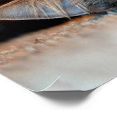 Long Haired Blue Russian Cat by Shirley Taylor Poster (Ecke)