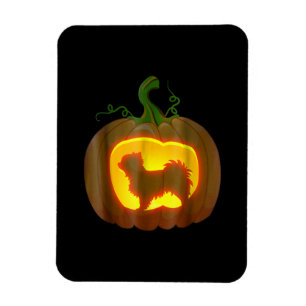 Long Haired Chihuahua Halloween Magnet