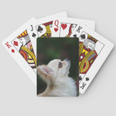 Long Haired Chihuahua Headshot 2 Spielkarten (Rückseite)