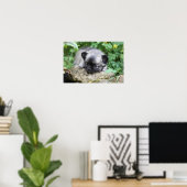 Long Haired Chihuahua Puppy Poster (Heimbüro)