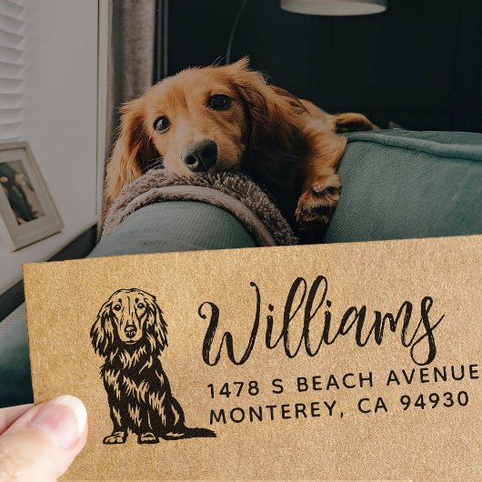  Long Haired Dachshund Owner Return Address Dog Gummistempel