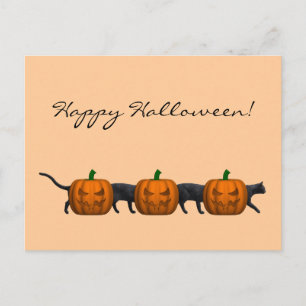 Long Halloween Cat Postkarte