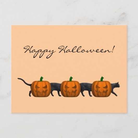 Long Halloween Cat Postkarte (Vorderseite)