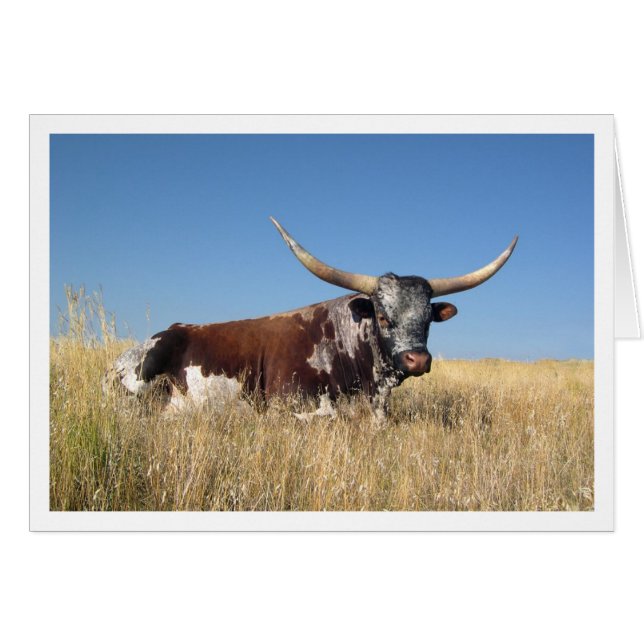 Long Horn (Vorderseite (Horizontal))