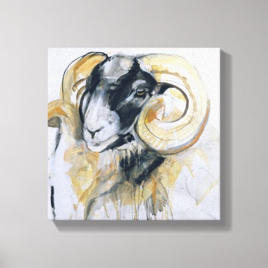 Long Horn Sheep Leinwanddruck (Vorderseite)