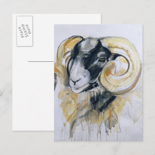 Long Horn Sheep Postkarte (Vorne/Hinten)