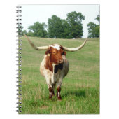 Long Horned Cow Notebook Notizblock (Vorderseite)