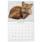Long Island Calendar Kalender (Jan 2027)