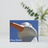 Long Island Duck 2 Postkarte (Stehend Vorderseite)