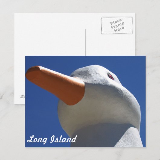 Long Island Duck 2 Postkarte (Vorne/Hinten)