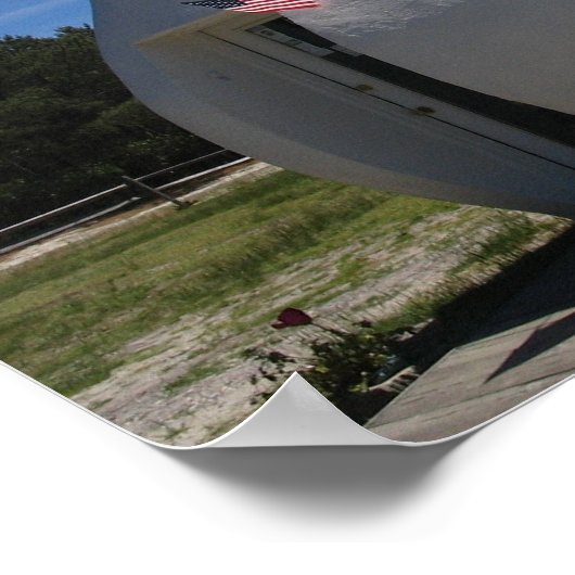 Long Island Duck Poster (Ecke)