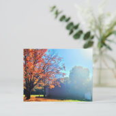 Long Island Herbst Farm Barrio New York Postkarte (Stehend Vorderseite)