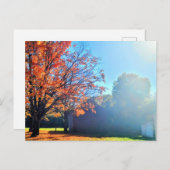 Long Island Herbst Farm Barrio New York Postkarte (Vorne/Hinten)