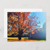 Long Island Herbst Farm Barrio New York Postkarte (Vorne/Hinten)