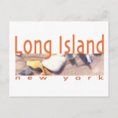 Long Island NY Postkarte (Vorderseite)