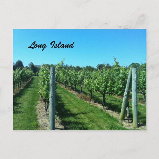 Long Island Postkarte (Vorderseite)