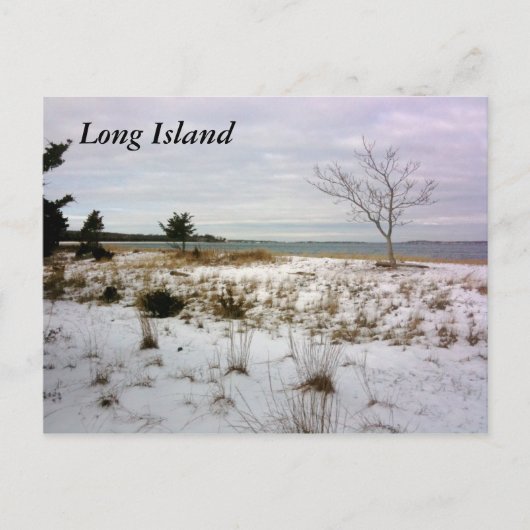 Long Island Shelter Island Postkarte (Vorderseite)