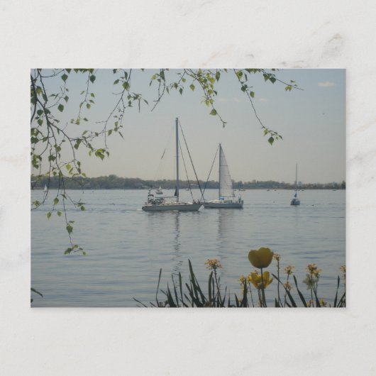 Long Island Sound Postkarte (Vorderseite)