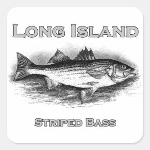 Long Island Vintage Streifenbarsch-Logo Quadratischer Aufkleber