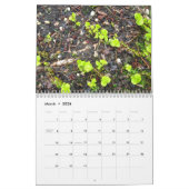 LONG- ISLANDtäglicher FOTO 2010 Kalender (Mär 2026)