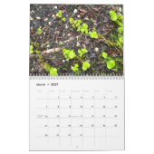LONG- ISLANDtäglicher FOTO 2010 Kalender (Mär 2027)
