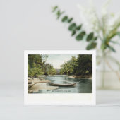 Long Lake, Adirondack Mountains, NY 1906 Vintag Postkarte (Stehend Vorderseite)