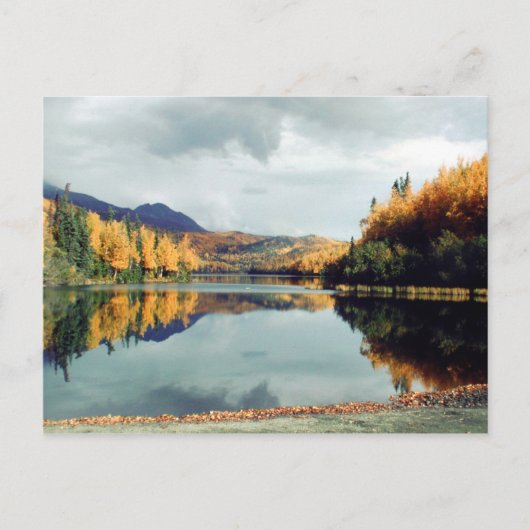 Long Lake Staaten Park Postkarte (Vorderseite)