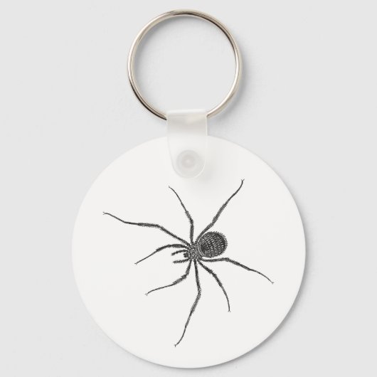 Long Leg Spider Schlüsselanhänger (Vorderseite)