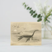 Long Neck Sea Lizard Zoological Sketcard Postkarte (Stehend Vorderseite)