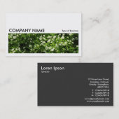 Long Picture 0208 - Wild Knolic Visitenkarte (Vorne/Hinten)