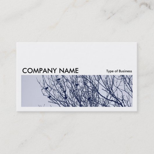 Long Picture 0260 - Starlings in a Tree Visitenkarte (Vorderseite)